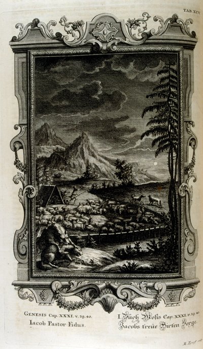 Felder von Jakob von Johann Jakob Scheuchzer