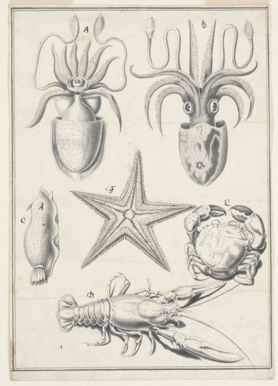 Fünfter Arbeitstag von Johann Melchior Füssli