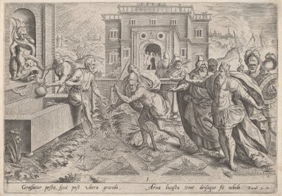Die Heuschreckenplage, ca. 1585 von Johann Sadeler I