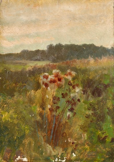 Landschaft in Niederösterreich von Johann  Till der Jüngere