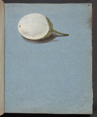 Studie von Beeren von Johanna Fosie