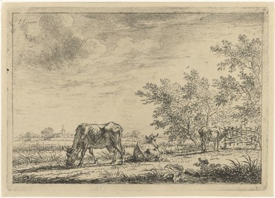 Drei Kühe auf der Weide von Johannes Janson