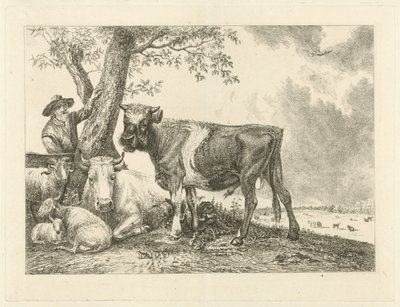 Stier und Bauer von Johannes Mock