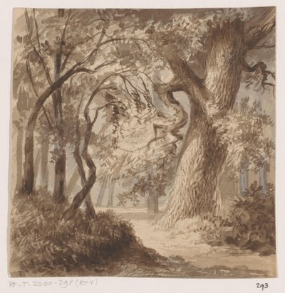 Waldlandschaft von Johannes Tavenraat