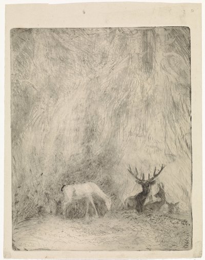 Hirsche in einem böhmischen Wald von Johannes Tavenraat