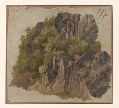 Felsen und Vegetation von Johannes Tavenraat