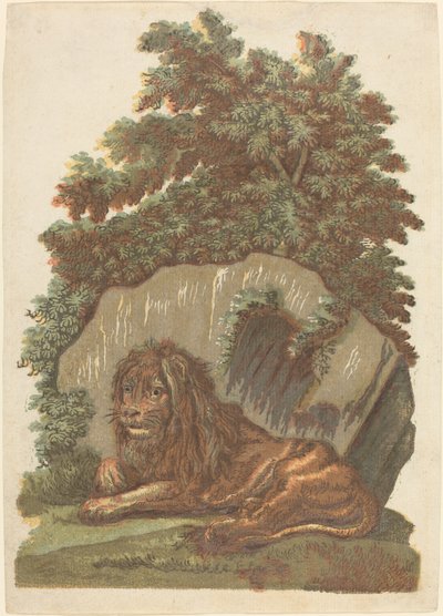 Der Löwe von John Baptist Jackson
