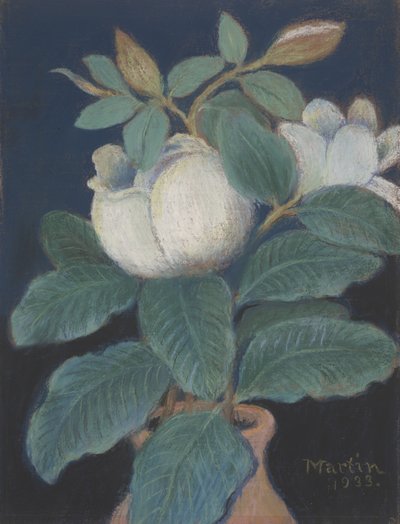 Magnolienblüten, 1933 von John Breckinridge Martin