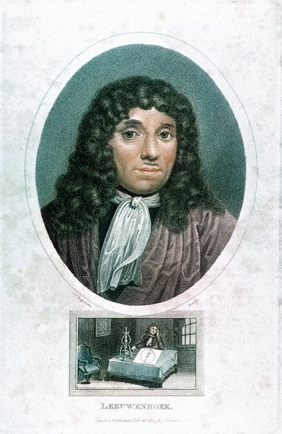 Anton van Leeuwenhoek 1632-1723, niederländischer Mikroskopist, c1810 von John Chapman