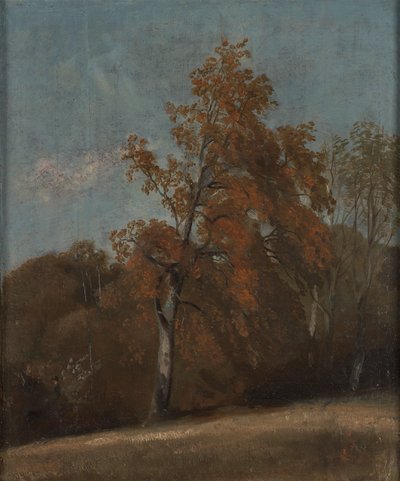 Studie eines Eschenbaums von John Constable
