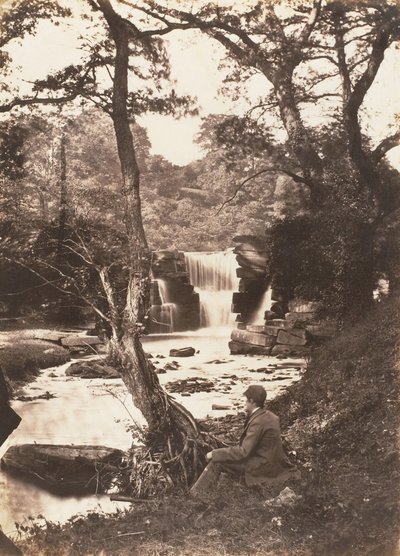 Der obere Fall von John Dillwyn Llewelyn
