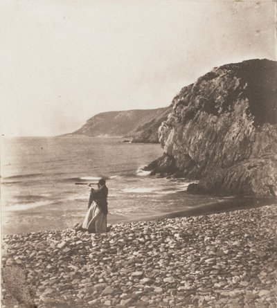 Winde & Wellen, 1853-56 von John Dillwyn Llewelyn
