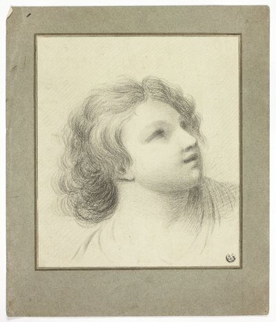 Aufwärts gerichteter Kopf eines Jugendlichen von John Downman