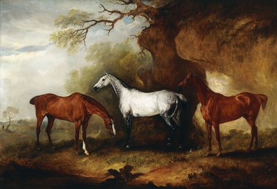 Drei Jäger im Besitz von Robert Myddelton-Biddulph von John E. Ferneley