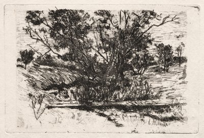 In der Nähe von Cincinnati, Ohio von John Henry Twachtman