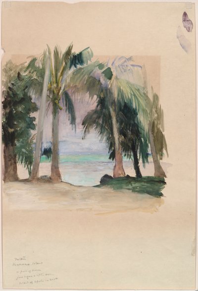Palmen am Meer von John La Farge