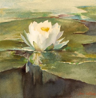 Seerose im Sonnenlicht, ca. 1883 von John La Farge