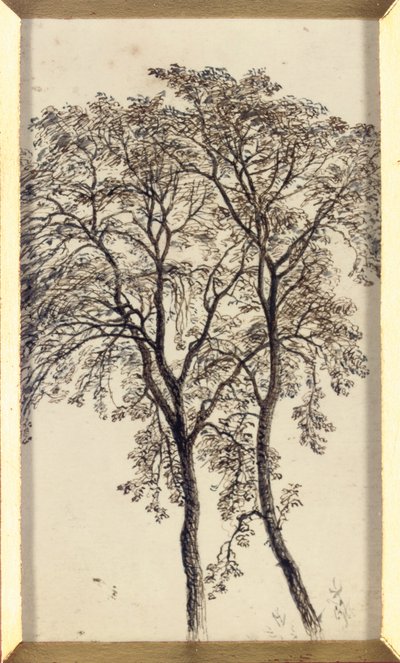 Studie von Bäumen von John MacWhirter