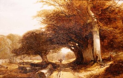 Waldlandschaft von John Middleton