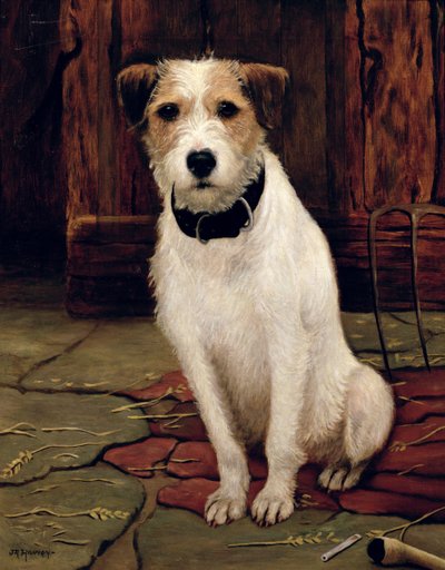 Porträt eines Terriers von John Rabone Harvey