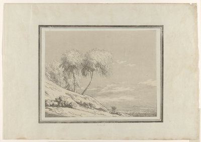 Birke von John Robert Cozens