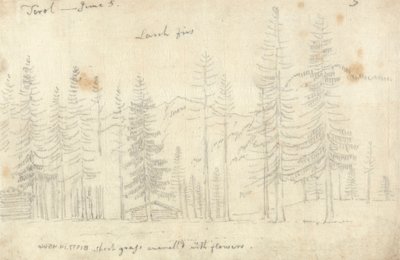 In Tirol von John Robert Cozens