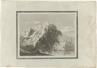 Trauerweide von John Robert Cozens