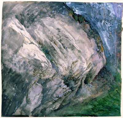 Felsen und Vegetation in Chamouni, 1854 von John Ruskin