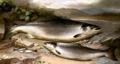 Fisch-Stillleben von John Russell