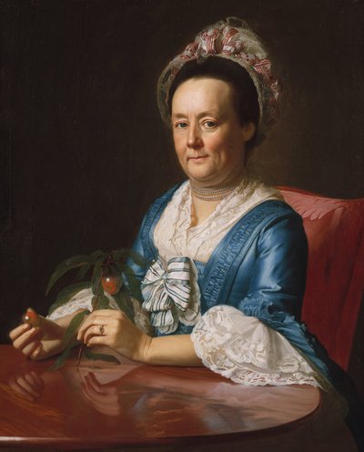 Mrs. John Winthrop von John Singleton Copley