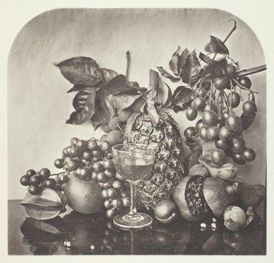 Früchte, ca. 1868 von John Thomson