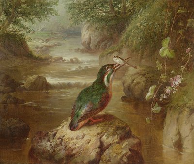 Das Versteck des Eisvogels von John Wainwright