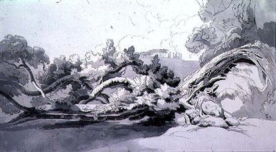 Landschaft mit entwurzeltem Baum von John White Abbott
