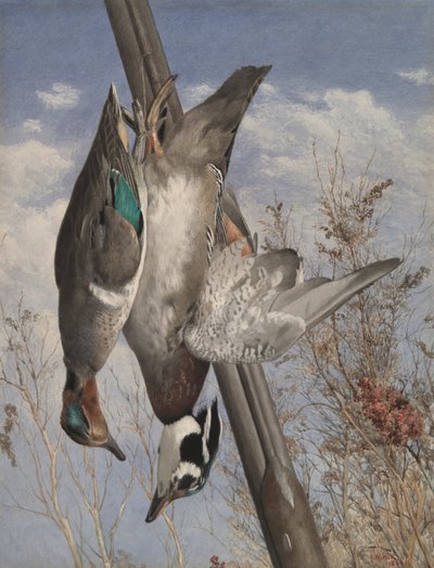 Hängende Wildvögel von John William Hill