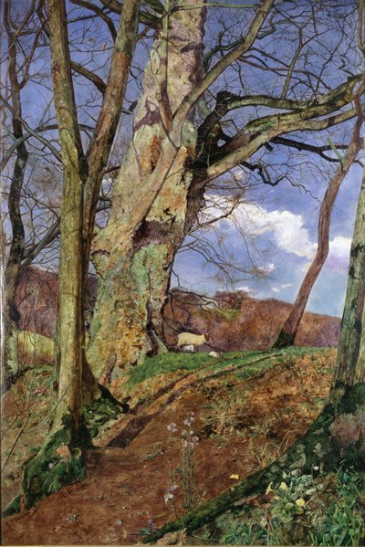 Eine Studie, im März, ausgestellt 1855 von John William Inchbold