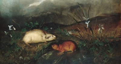 Hudson-Bay-Lemming, 1846 von John Woodhouse Audubon