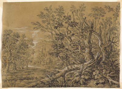 Bach durch einen alten Wald von Jonas Umbach
