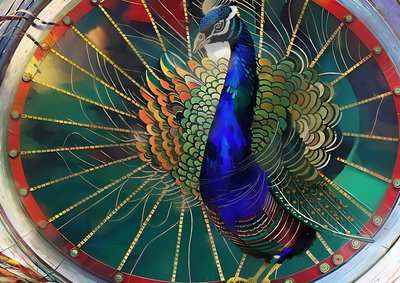 Tiere: Pfau 3 von Josef Johann Michel