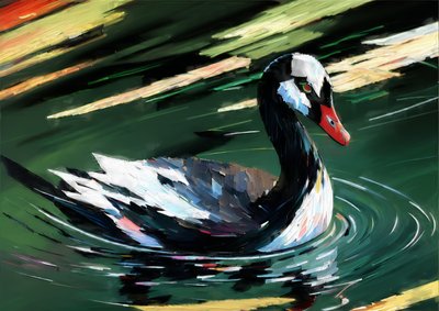 Tiere: Schwarzer Schwan 1 von Josef Johann Michel