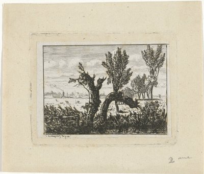 Landschaft mit Kopfweiden von Joseph Hartogensis