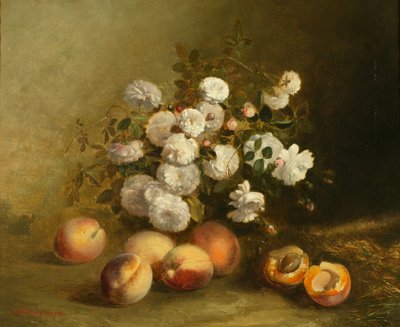 Blumen und Aprikosen von Jules Bidlingmeyer