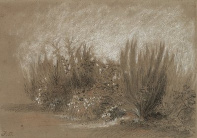 Ginster und Brombeeren von Jules Dupré