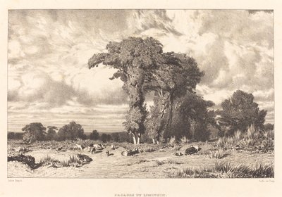 Weiden von Limousin von Jules Dupré