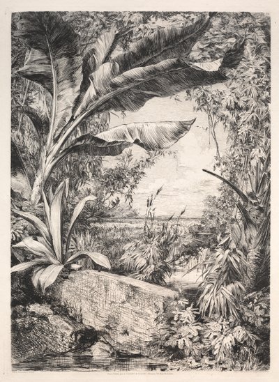 Pflanzen des Gewächshauses von Jules Jacquemart
