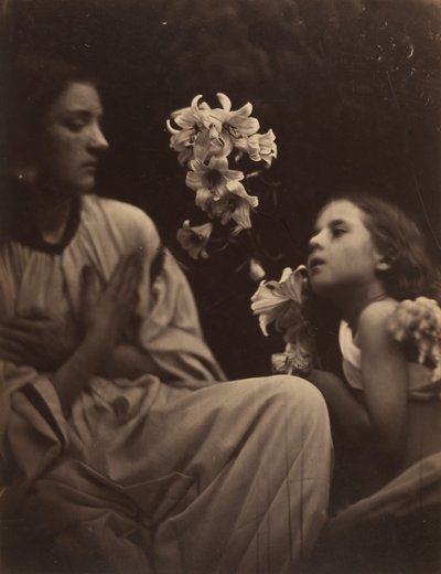 Eine Studie von Julia Margaret Cameron
