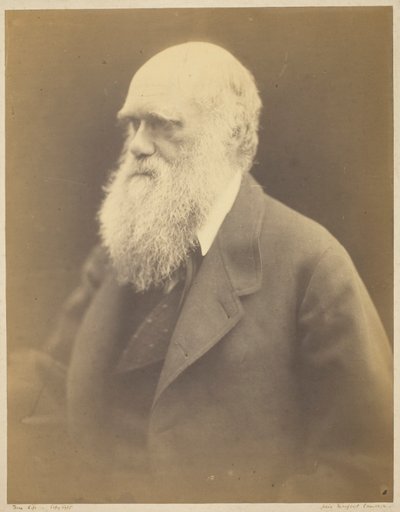 Charles Darwin von Julia Margaret Cameron