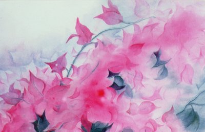 Bougainvillea von Karen Armitage