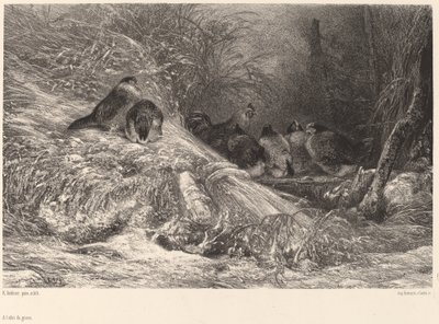 Im Schutz vor dem Frost von Karl Bodmer