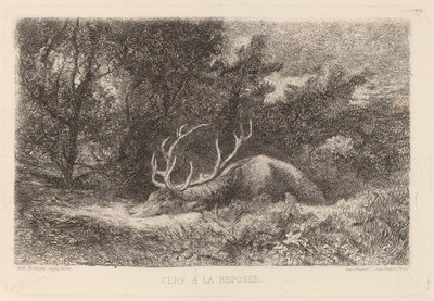Hirsch in Ruhe von Karl Bodmer