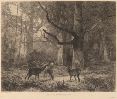 Wald von Fontainebleau von Karl Bodmer